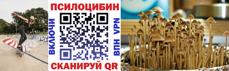 Галлюциногенные грибы Psilocybe  Мураши 